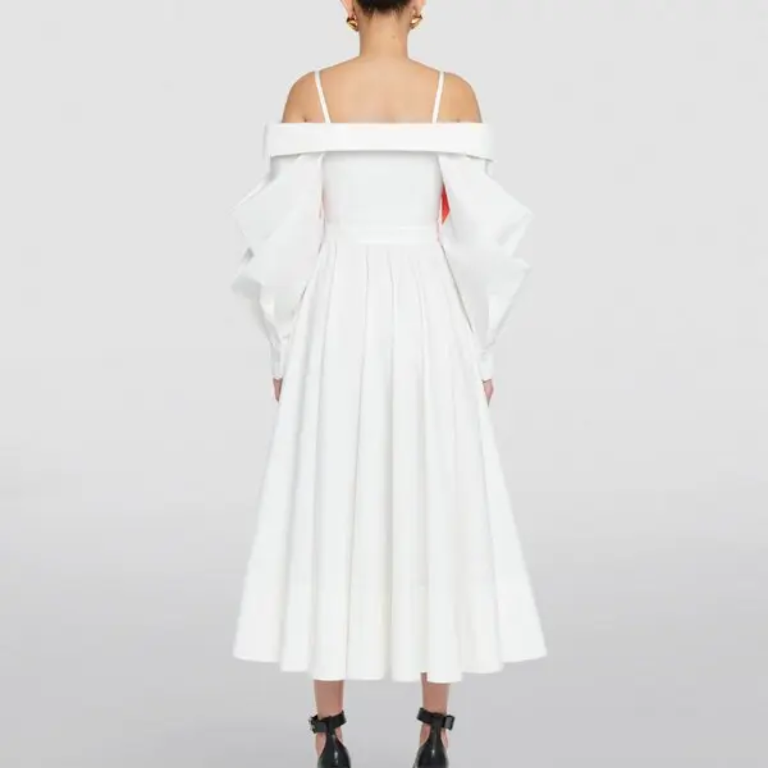 Alexander McQueen Solarised Printed Midi Dress