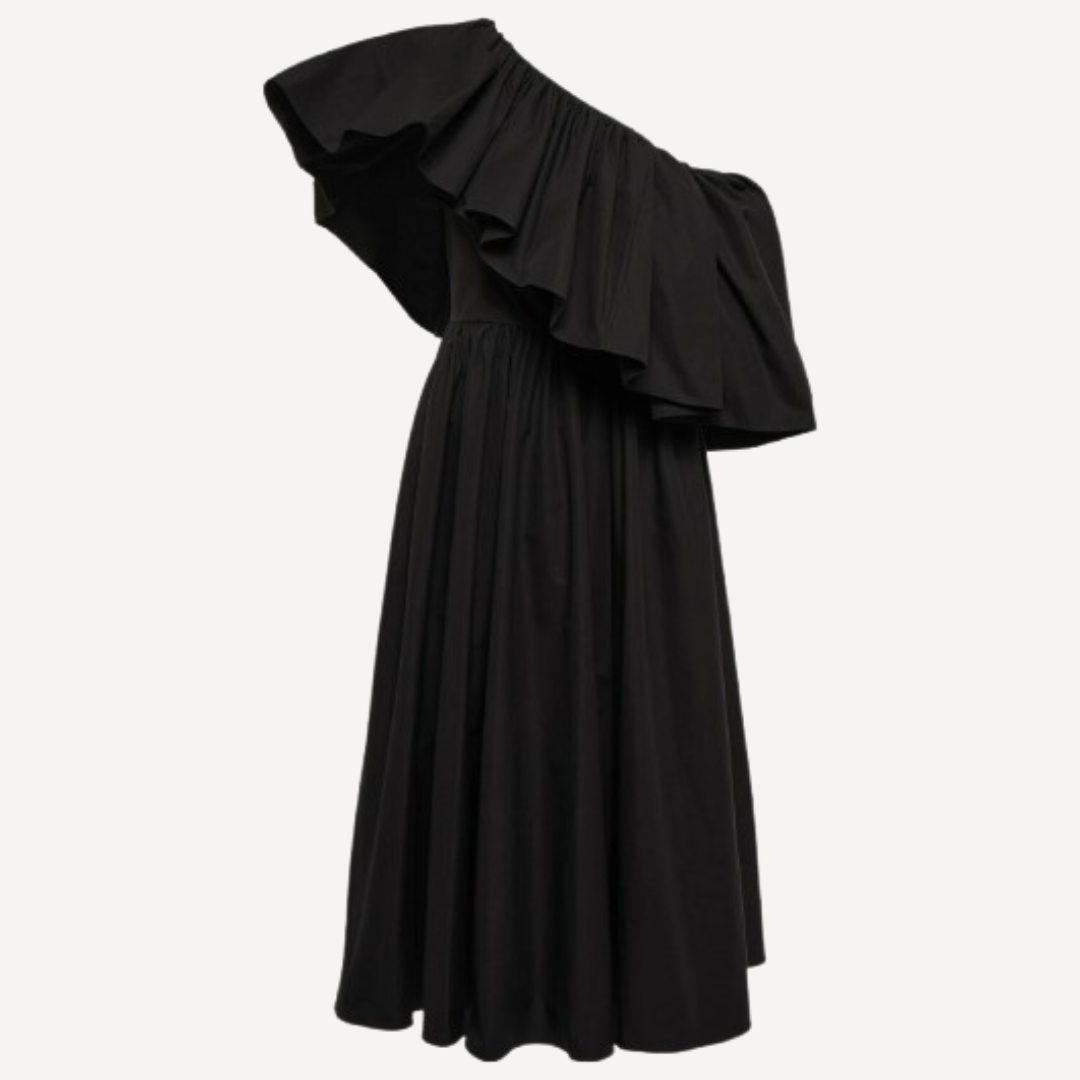 Alexander McQueen Organic Heavy Popeline Dress