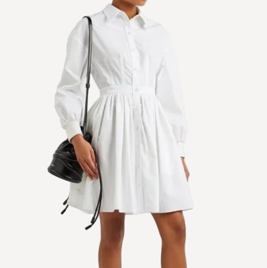 Alexander Mcqueen White Shirt Mini Dress