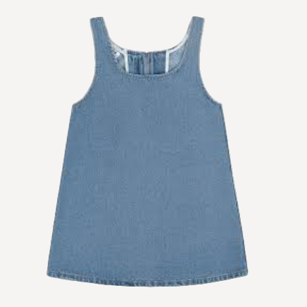 Parke Denim Mini Dress