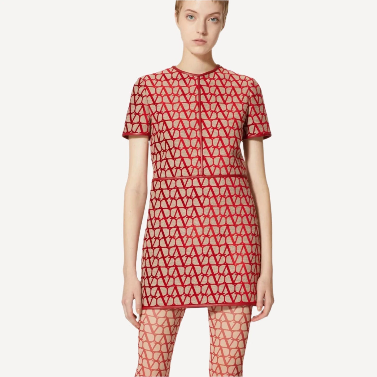 Valentino Toile Iconographe Red Printed Mini Dress